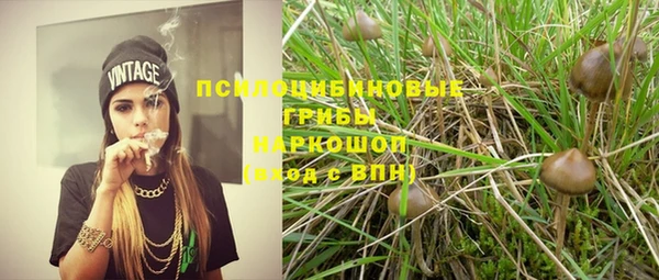 spice Майский
