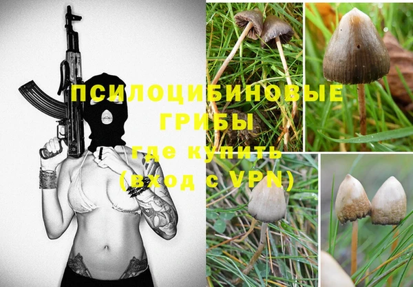 прущая мука Магас