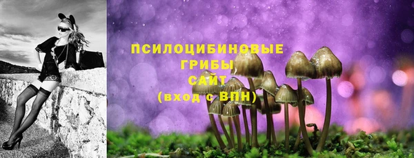 прущая мука Магас