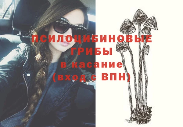 spice Майский